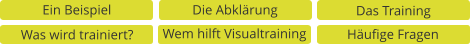 Ein Beispiel Die Abklärung Das Training Was wird trainiert? Wem hilft Visualtraining Häufige Fragen